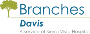 Branches Davis logo